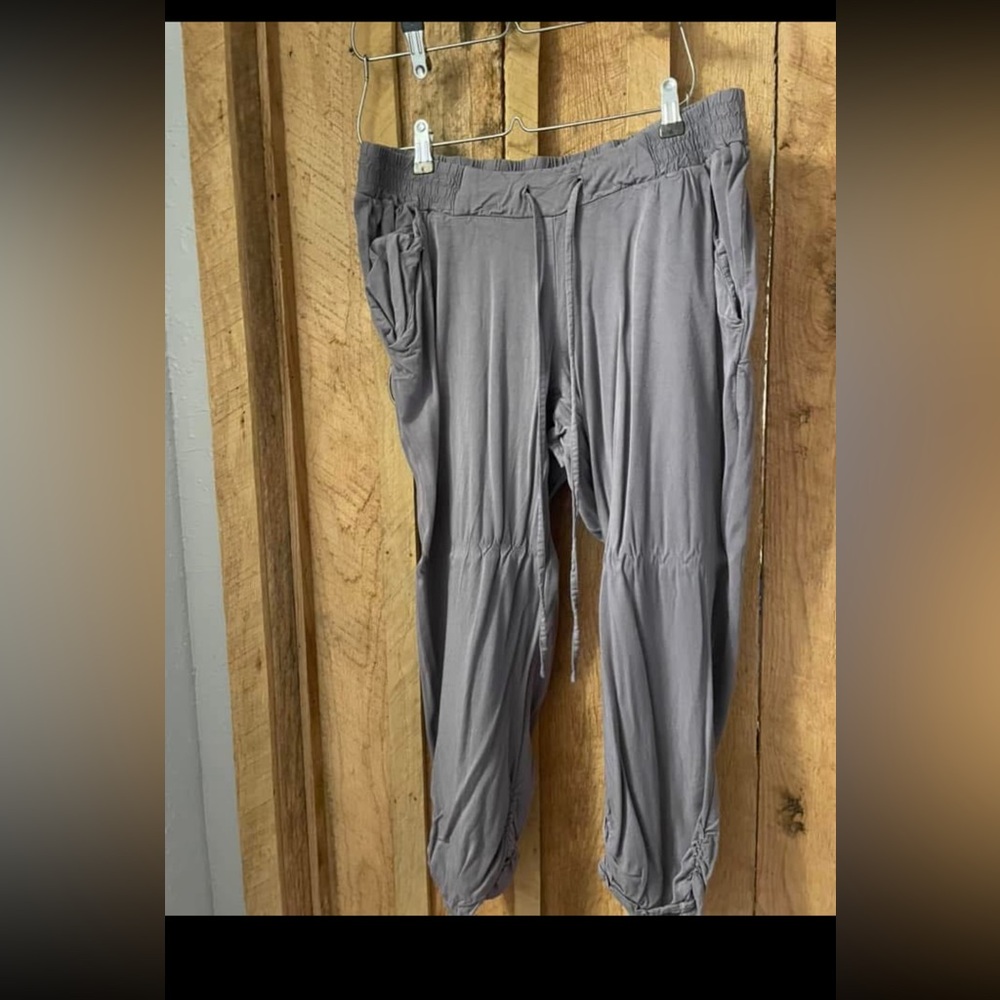 Torrid jogger ankle pants